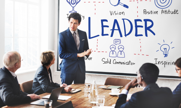 Expert Mentorship